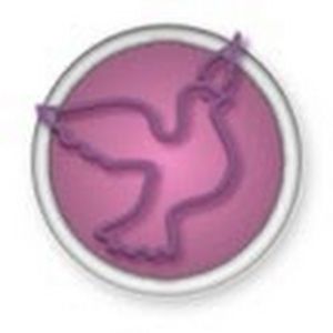 Meet your Posher, Rachels